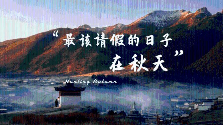 深度交流·临床和计算机哪个更适合农村学生?知识星球,探索无尽智慧