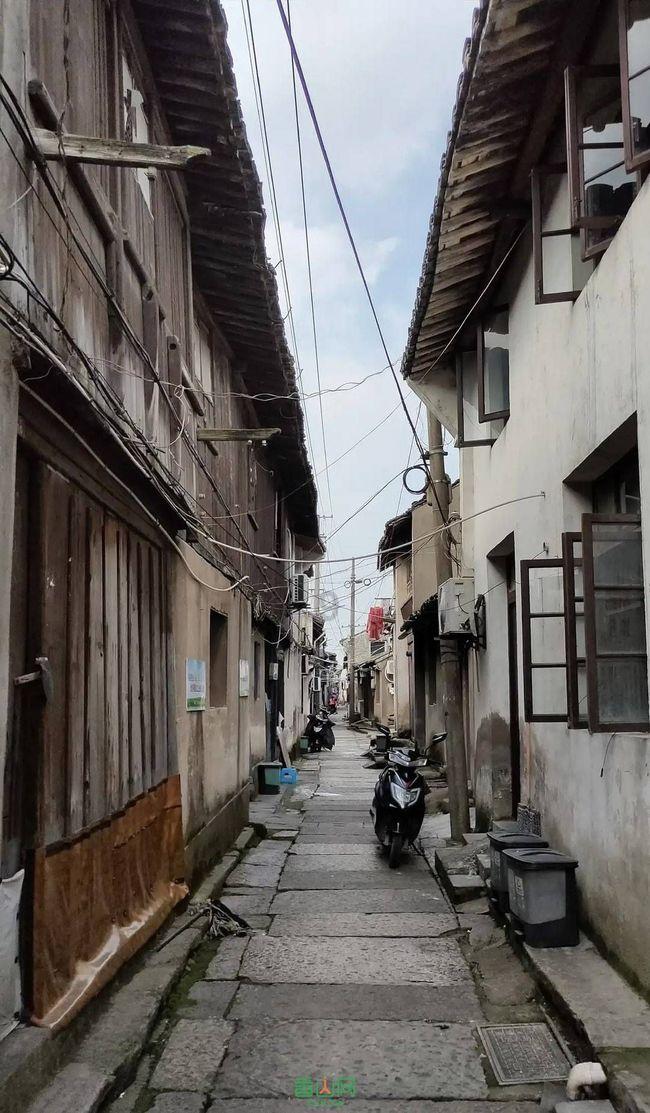 龙虎山道教学院分数线